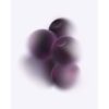 Cassis-poddar