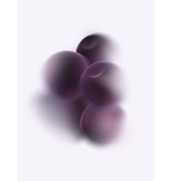Cassis-poddar